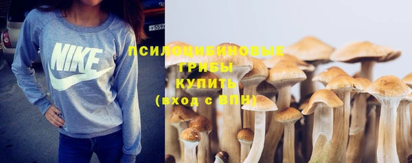 Альфа ПВП Остров