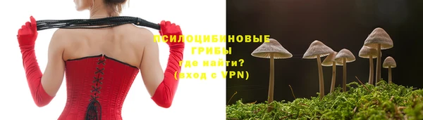 не бодяженный Осинники