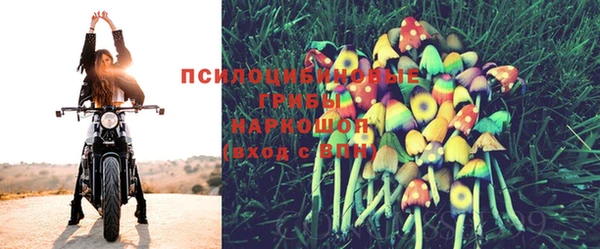 Альфа ПВП Остров