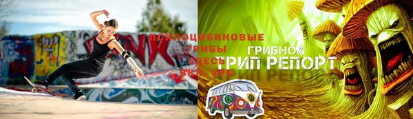 Альфа ПВП Остров