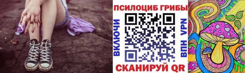 Псилоцибиновые грибы Cubensis  даркнет сайт  Тетюши 